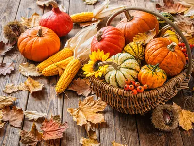 Autumn still life with pumpkins, corncobs and leaves on wooden background
