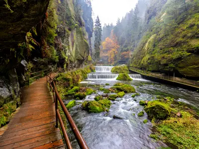 The Kamnitz Gorge in Saxon switzerland national park