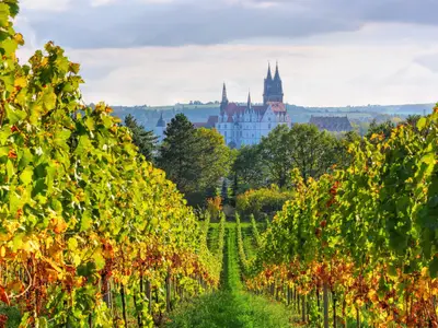 Blick über herbstliche Weinberge auf die Stadt Meissen in Sachsen, Deutschland - view over autumn vineyards to the city of Meissen in Saxony, Germany