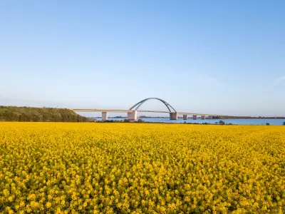 Fehmarn, Germany - May 11, 2019: Aerial drone view of Fehmarn Bridge and yellow rapeseed fields.