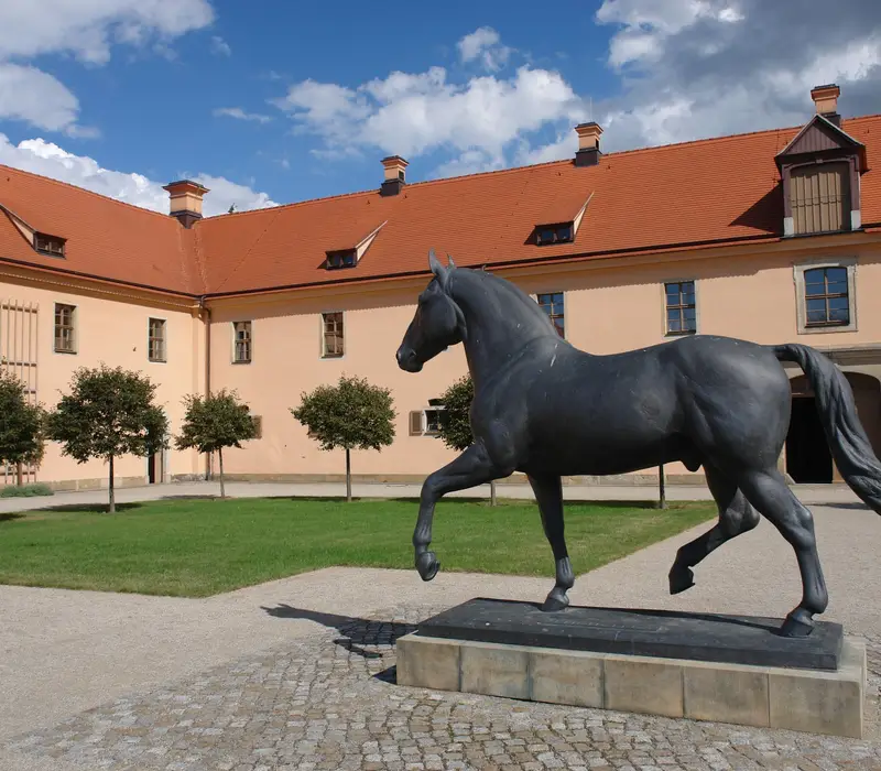 Hengstparade Moritzburg