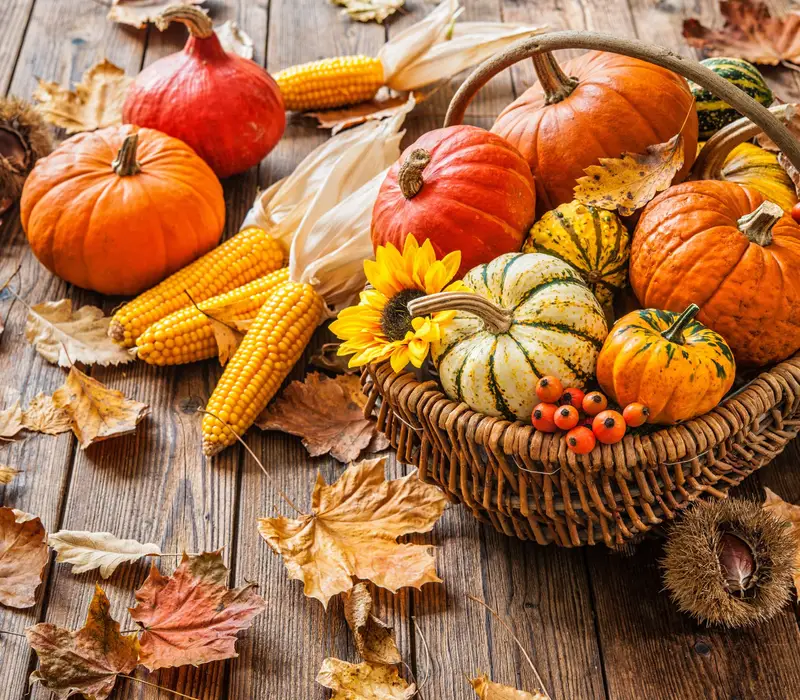 Kürbisfest im Fichtenhäusel