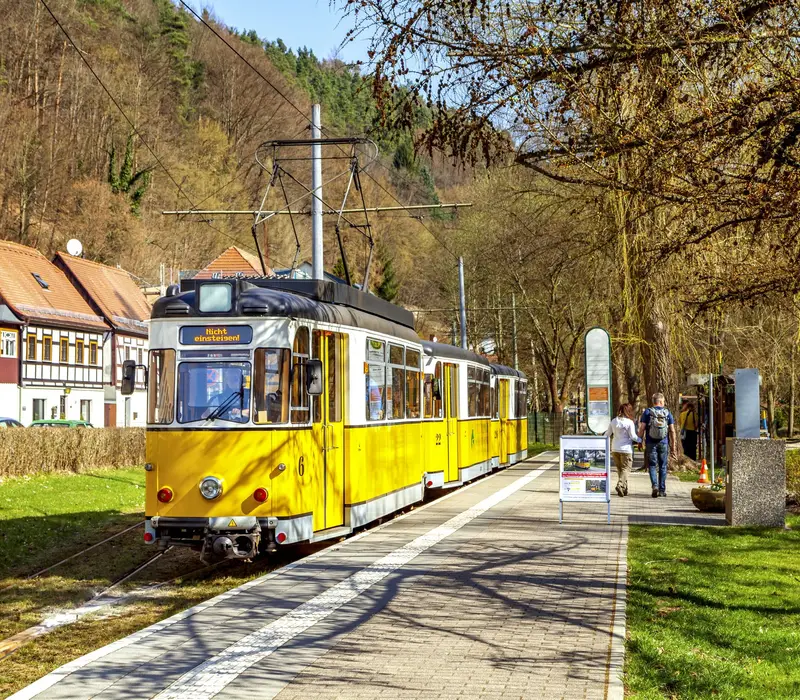 Kirnitzschtal & Seidenblumenstadt Sebnitz