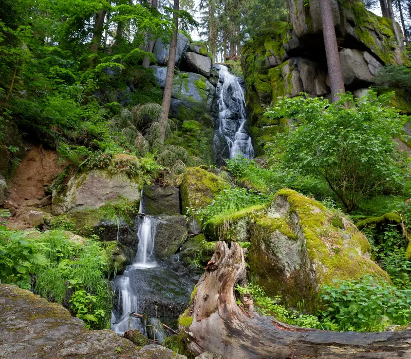 Zwischen Wernesgrün & Spiegelwaldbaude