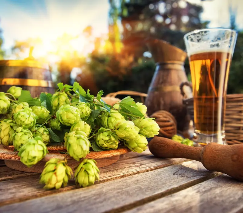 Brauerei Wernesgrün & Kunstguss Döhler