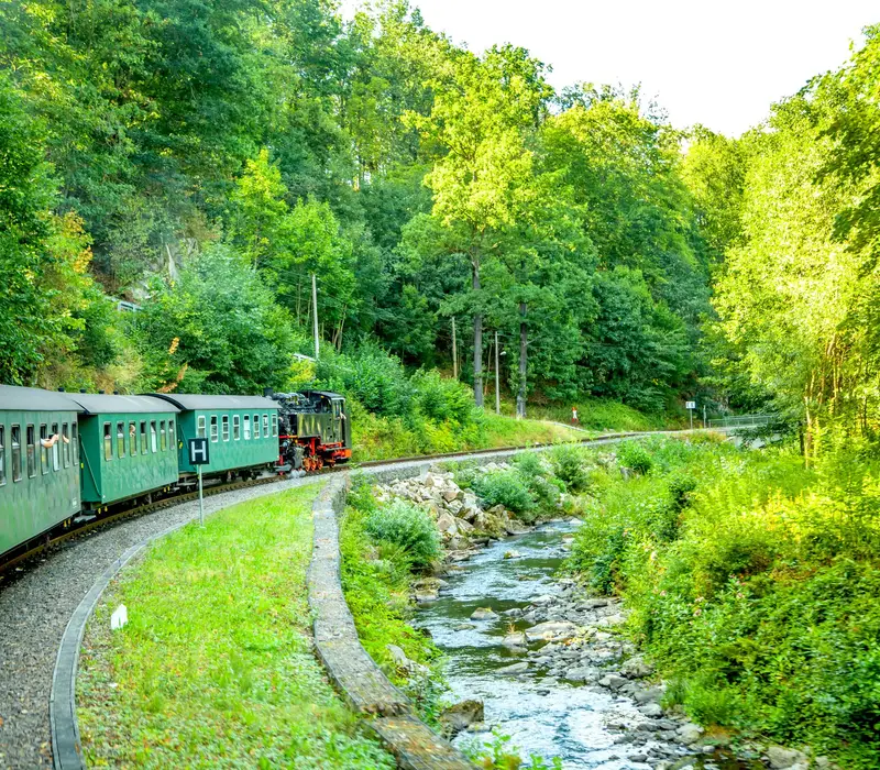 Weißeritztal, Ostererzgebirge & Mückenturm