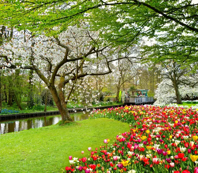 Zum Tulpenmeer in den Frühlingsgarten