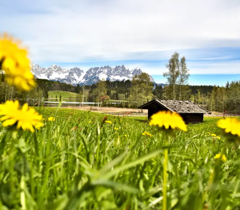 Kaisergebirge & Kitzbühler Alpen