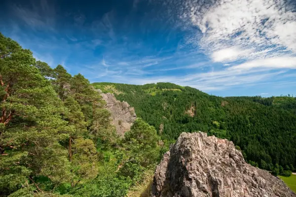 Traumhafte Aussichten - Wandern im Schwarzwald