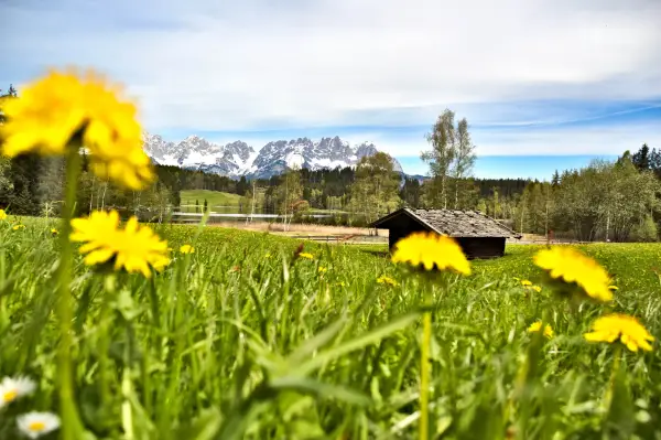 Kaisergebirge & Kitzbühler Alpen